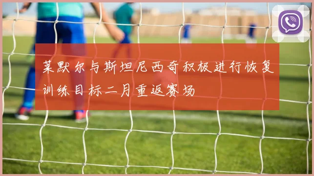 莱默尔与斯坦尼西奇积极进行恢复训练目标二月重返赛场
